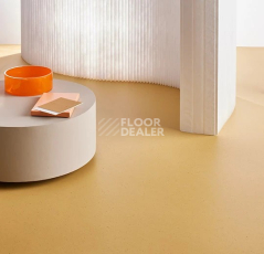 Forbo Marmoleum Solid Cocoa 3587 curcuma фото 3 | FLOORDEALER